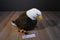 Applause Bald Eagle Beanbag Plush