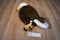 Applause Bald Eagle Beanbag Plush
