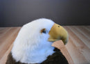 Applause Bald Eagle Beanbag Plush