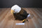 Applause Bald Eagle Beanbag Plush