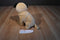 Aurora Babies Pug Dog Beanbag Plush