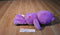 Play Along Care Bears Purple Share Bear 2007 Plush