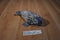 Ganz Webkinz Gray and Black Spotted Seal HM395 Beanbag Plush No Code