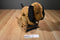 Manhattan Toy Co. Pooch Party Sniffy the Brown and Black Dog 2015 Plush