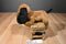 Manhattan Toy Co. Pooch Party Sniffy the Brown and Black Dog 2015 Plush