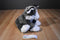 Jaag Gray and White Husky/Malamute Puppy Dog 2013 Beanbag Plush