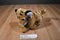 Sea World Busch Gardens Bengal Tiger Cub Beanbag Plush