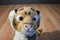 Sea World Busch Gardens Bengal Tiger Cub Beanbag Plush