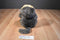 Commonwealth Brown and Beige Capuchin Monkey 2000 Plush