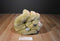 Dakin Three Cherished Teddies 1994 Plush