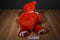 Ty Punkies Siren Red and White Floppy Teddy Bear 2006 Beanbag Plush