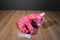 Aurora Girlz Nation Pink Giraffe Beanbag Plush