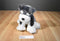 Jaag Gray and White Schnauzer 2017 Beanbag Plush