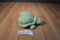 Ganz Webkinz Green and White Spotted Turtle Beanbag Plush HM220 No Code