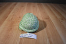 Ganz Webkinz Green and White Spotted Turtle Beanbag Plush HM220 No Code