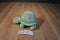 Ganz Webkinz Green and White Spotted Turtle Beanbag Plush HM220 No Code