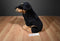 FAO Schwarz Rottweiler Plush