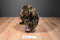 Folkmanis Brown and Tan Porcupine Puppet