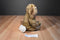 Build a Bear EB the Brown Easter Bunny 2011 Plush With Blue Eyes
