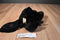 Folkmanis Brown and Black Beaver Hand Puppet