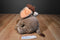 Disney Store Jungle Book 2 Hathi the Baby Elephant Beanbag Plush