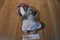 Poochie and Co. Penguin Purple Sequins Plush Bag Purse