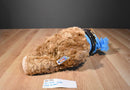 Mary Meyer St. Jude's Beige Bear Oliver Beanbag Plush