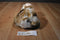 Dan Dee Brown and White Mottled Bunny Rabbit Plush