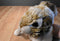 Dan Dee Brown and White Mottled Bunny Rabbit Plush