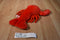 Ty Buddies Pinchers the Red Lobster 2001 Beanbag Plush