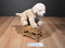 Douglas Spankie Yellow Lab Beanbag Plush