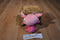 Hasbro Littlest Pet Shop Minka Mark Monkey 2014 Plush