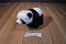 Douglas Cookie the Panda 2012 Beanbag Plush
