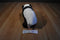 Douglas Cookie the Panda 2012 Beanbag Plush