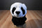 Douglas Cookie the Panda 2012 Beanbag Plush