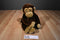 Koala Baby Brown Monkey Beanbag Plush