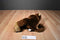 Koala Baby Brown Monkey Beanbag Plush