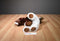 Aurora Brown and White Pinto Paint Horse Pony  2017 Plush