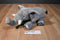 Gray and White African Elephant Plush