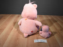 Nanco Care Bears Two Cheer Bears 2003 Plush