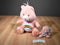 Nanco Care Bears Two Cheer Bears 2003 Plush