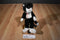 Boyd's Bears Ernest Q. Grimilkin Black White Jointed Cat Pink Bow 1985 Plush