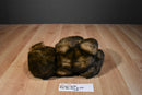 The Bearington Collection Moe the Brown Teddy Bear Beanbag Plush