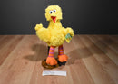 Sesame Street Live Big Bird 2013 Plush