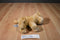 Aurora Floppy Curly Golden Retriever Beanbag Plush