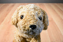Aurora Floppy Curly Golden Retriever Beanbag Plush