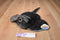 the PettingZoo Bright Eyes Gray Stingray 2012 Plush