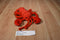 Aurora Red Lobster Plush