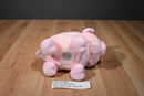 Animal Adventure Pink 2016 Plush Piggy Bank