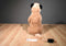 The Petting Zoo Meerkat 2009 Plush